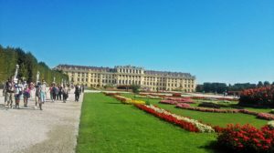things to do in vienna