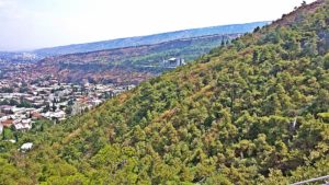 about georgia