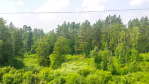 transsiberian train