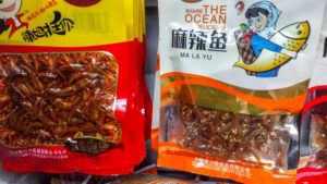beijing travel