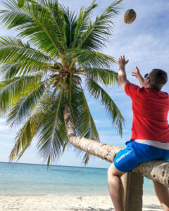 thailand palmtree
