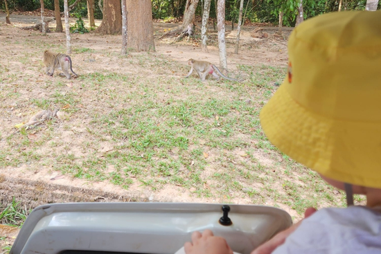 Travel with toddler to Siem Reap, Cambodia while pregnant